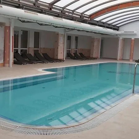 D&d Wellness Apatmanok - Dani Wellness